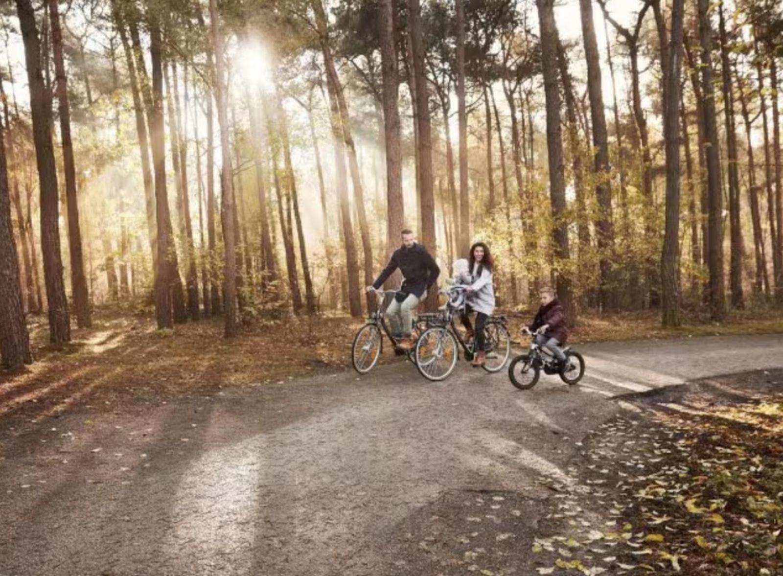 Glamping With Eco-wellness *