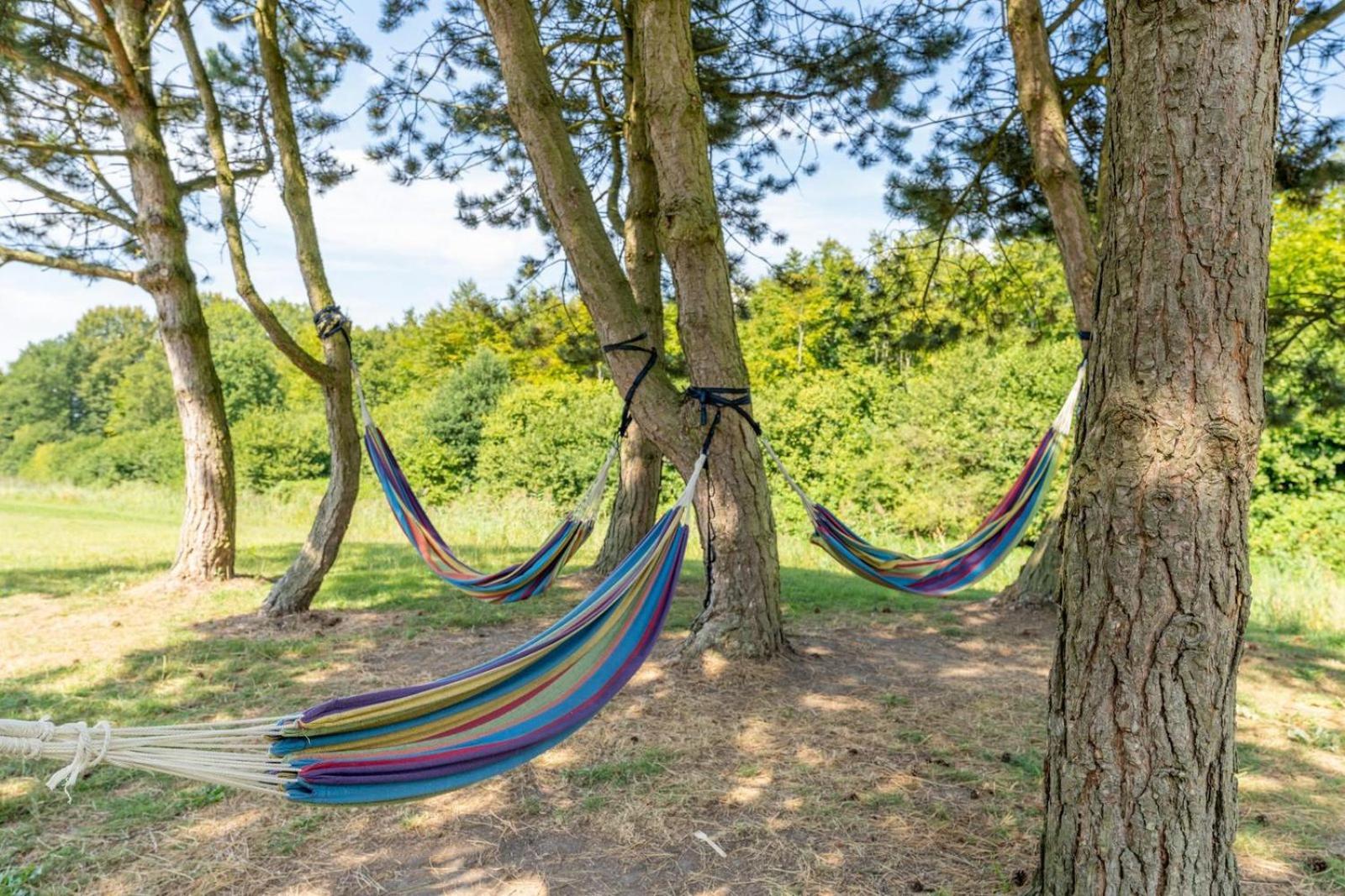 Glamping With Eco-wellness